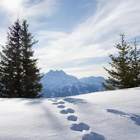 Ambre 1 By Interhome * Villars-sur-Ollon