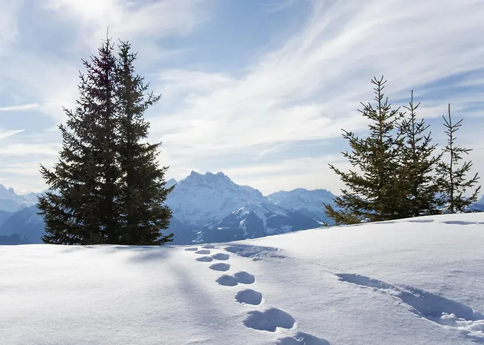 Ambre 1 By Interhome * Villars-sur-Ollon