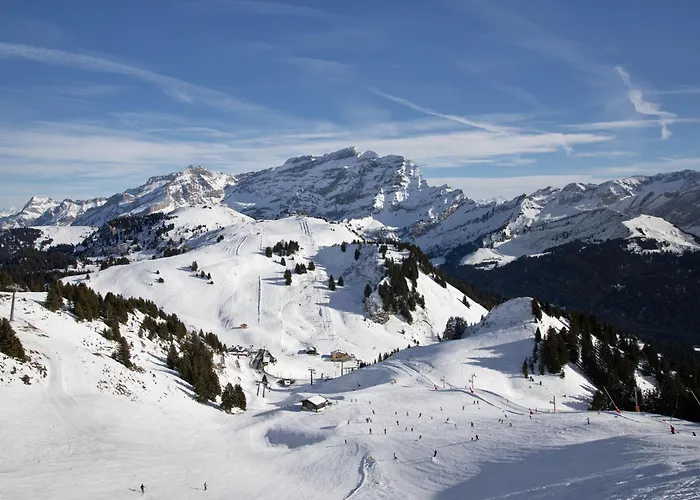 Ambre 1 By Interhome Villars-sur-Ollon